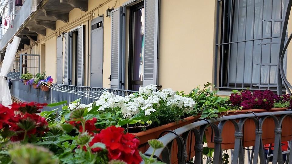 Al Piperita Bed & Breakfast Turin Luaran gambar